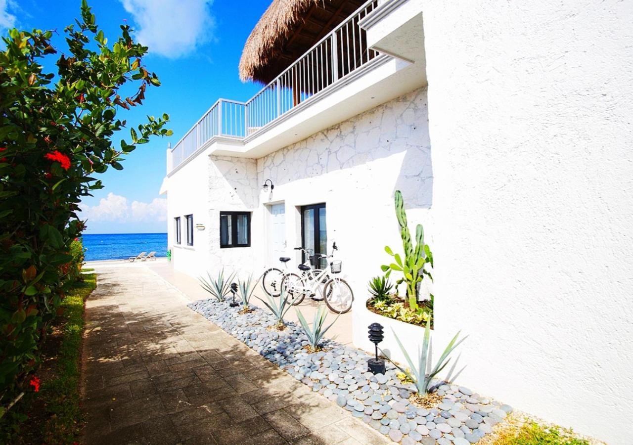 The Queen Of Cozumel Beach House -Luxury Beachfront Villa- Million Dollars View Zewnętrze zdjęcie